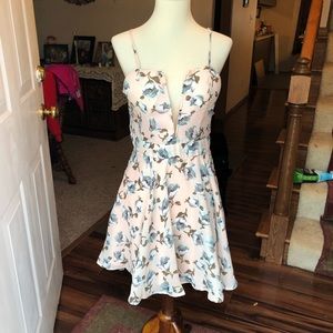 Blush pink blue rose dress